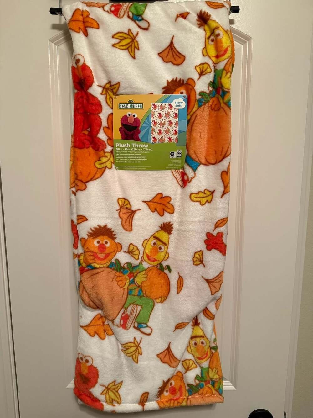 Sesame Street fall Plush Throw Blanket 50In. x 70In.